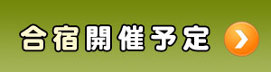 合宿開催予定